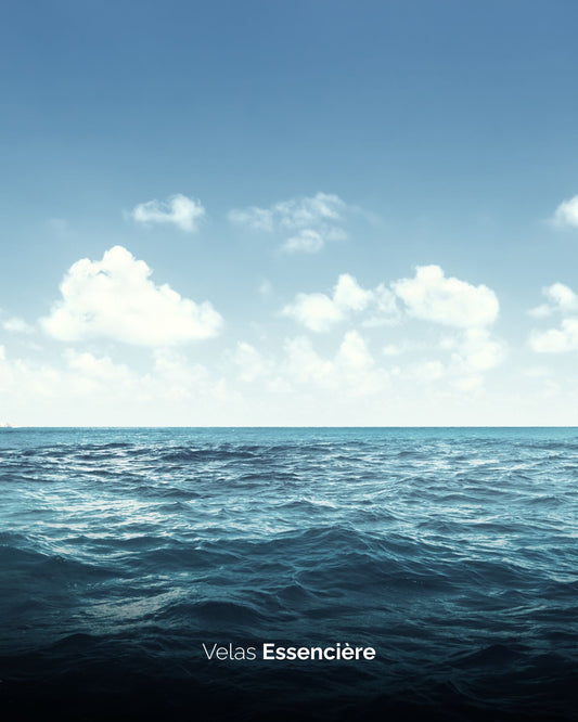 Vela Brisa do Oceano | 90G