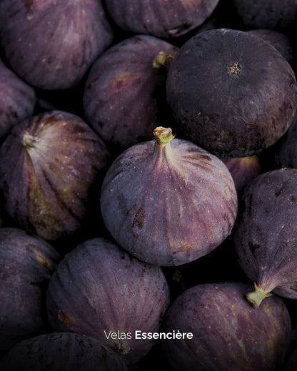 Vela Figo do Oriente | 180G