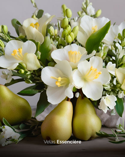 Vela Pera e Frésia | 90G